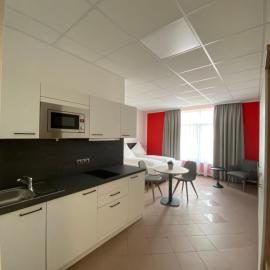 Nord-Ries Apartments mit Bad & Küche, hotel en Fremdingen