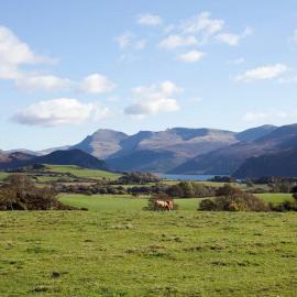 Lake District, spacious holiday home, sleeps 11, village location
