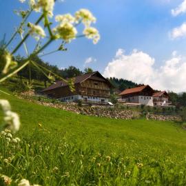 Wargerhof - Urlaub auf dem Bauernhof