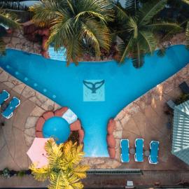 Bungalows Ballena