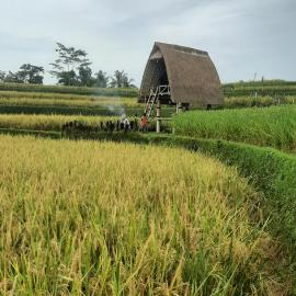 Swaha Retreat & Eco Park Ubud, хотел в Гианяр