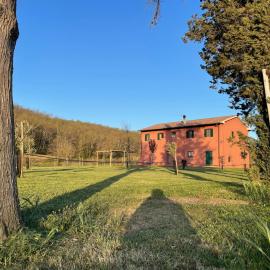 Appartamento TERRACOTTA nel Podere Gretano, hotel a Paganico