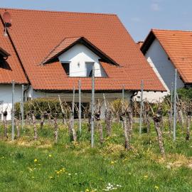 Ferienhaus Vongerichten, hotel di Oberhausen