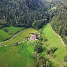 Haldenschwarzhof, hotel i Simonswald