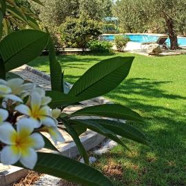 Olive Garden, hotelli kohteessa Lapithos