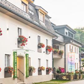 Bio-Bauernhof-Hotel Matlschweiger，Lassing的飯店