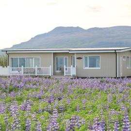 Lynghagi House, hotel sa Vegamót