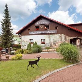Penzion U Jelena, hotel a Železná Ruda