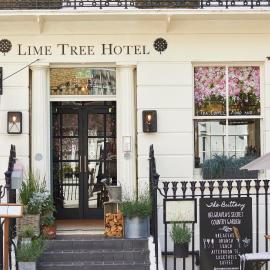 Room Mate Lime Tree