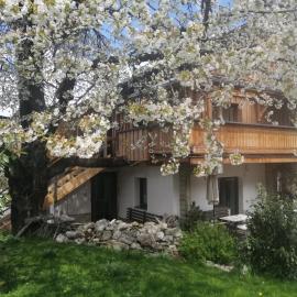 Appartement Seppi