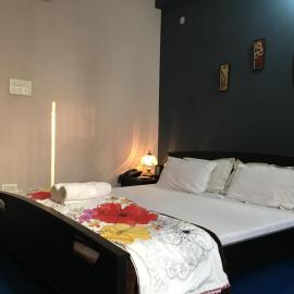 Hotel Royal Panacea