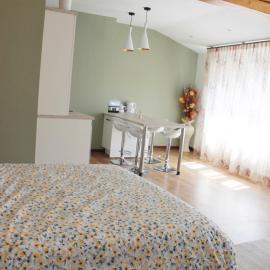 Saint Etienne : appartement Châteaucreux 40 M2