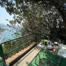 Le Dimore di Zaro - Green Paradise, hotel in Forio d'Ischia