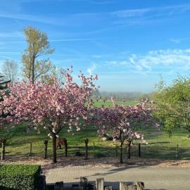Hoeve Hooierzele, hotel a Waasmunster