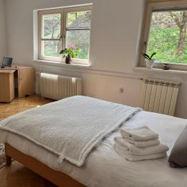 Lovely 2-bedroom appartment with free parking, hotel in Dobrova