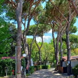 Camping Linus, hotel in Marina di Massa