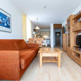 Ferienwohnpark Immenstaad am Bodensee Zwei-Zimmer-Apartment 55 30