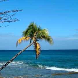 Atlantic Wave Villa, hotel in Aguada