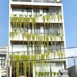 Amely Hotel, hotel di Bến Cát
