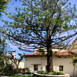 Chorio House Platanias