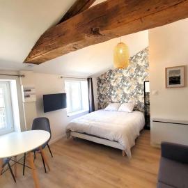 L'IDYLLE - Studio Cocooning avec Jacuzzi, hotelli kohteessa Mâcon