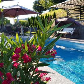 Valentina Guest House at Pintar Wine Estate, hotel di Kojsko