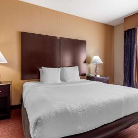Best Western Plus DFW Airport West Euless