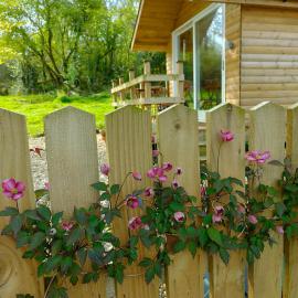 Dryw bach glamping hut, Hotel in Llandeilo