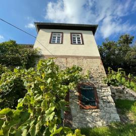 Ferienhaus Traminer im Weinberg, hotel v mestu Freyburg