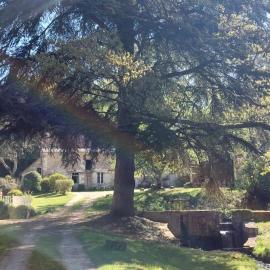 Le moulin du Mesnil, hotel in Saint-Georges-sur-Cher