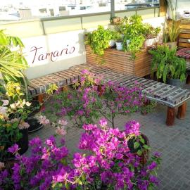 Tamaris Hotel