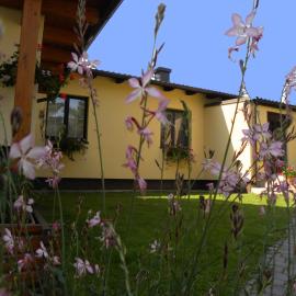 Appartement Ferienhaus Sonnenhain