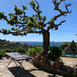 Villa Provençale avec vue mer panoramique, hotel in Le Lavandou