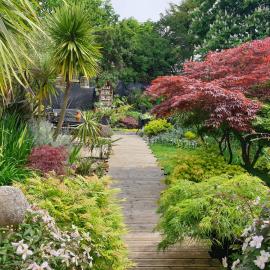 Tropical Garden Oasis Rooms, hotel in Birmingham