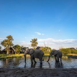 South Okavango - Omogolo Hideaways, hotel a Rammu