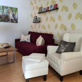 Ferienwohnung Harzluchs mit Balkon & Sauna im Haus, hotel in Hohegeiß