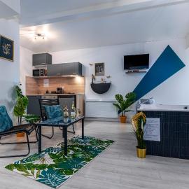 Suite SPAradise - SPA Privé - 6min Disneyland PARIS