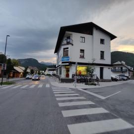 House Budkovič, Hotel in Bohinj