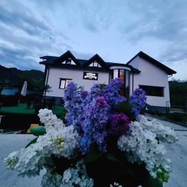 Perla Muntilor Ponoarele, Padurea de liliac, hotel v mestu Ponoarele