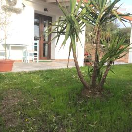 La fragola in Campagna 6 k m da San pantaleo, hotel a San Pantaleo