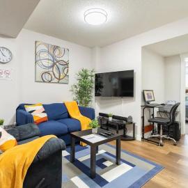 The PLUSH Suite