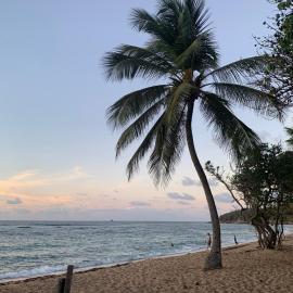 Studio Anse L'Etang, Hotel in Tartane