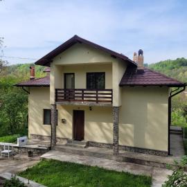 Casa Damian, hotel em Bertea