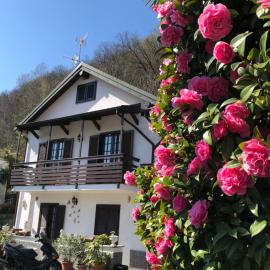 Casa delle azalee, hotel in Gravellona Toce