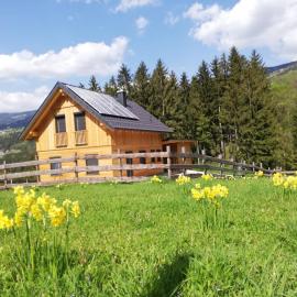Auszeit Steinbauer, hotel u gradu 'Magdalensberg'