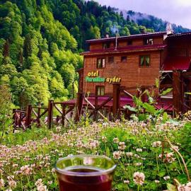 Ayder Paradise Otel, hotell sihtkohas Ayder Yaylasi