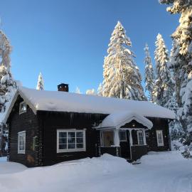 Lillfallet mysig fjällstuga med bästa läge på fjället