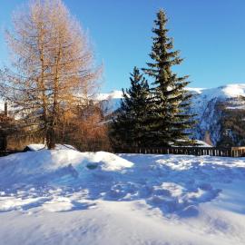 Residence Edelweiss No Stress by Eva, hotel em Bellwald