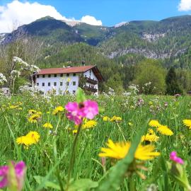 Pulvererhof, hotel a Achenkirch