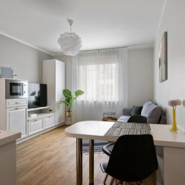 Brand new, cozy and quiet 1 br apartment, free parking